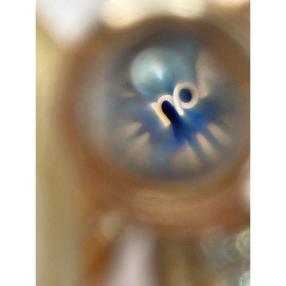 Preserved Flowers Roses In Box, I Love You S925 Angel Necklace Rose Gold Toned - Picture 8 of 11